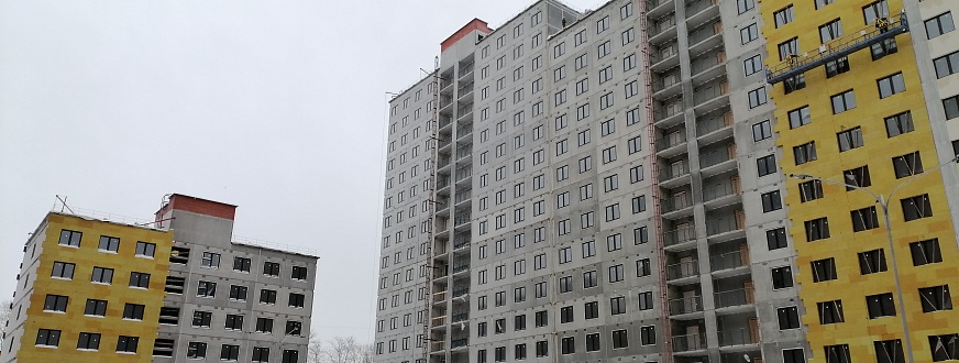 Январь 2025